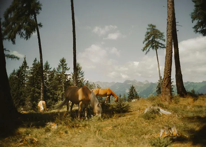 Miramonti Boutique Hotel Hafling